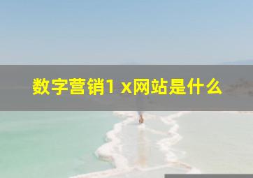 数字营销1 x网站是什么